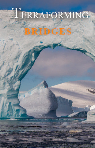 Terraforming Bridges Book w/ Downloadable Audio